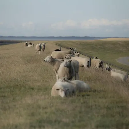 With 2 Bedrooms Feriehus Wenningstedt-Braderup