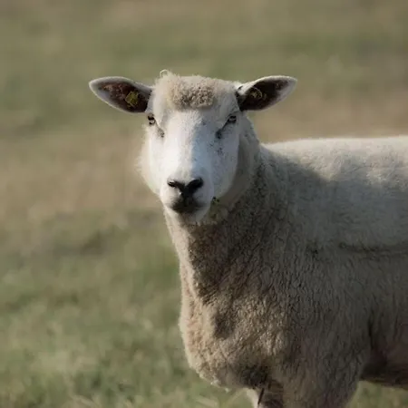 With 2 Bedrooms 度假居 文尼斯塔特