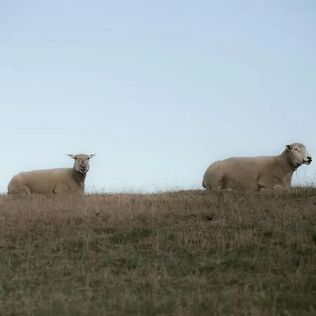 Feriehus With 2 Bedrooms *