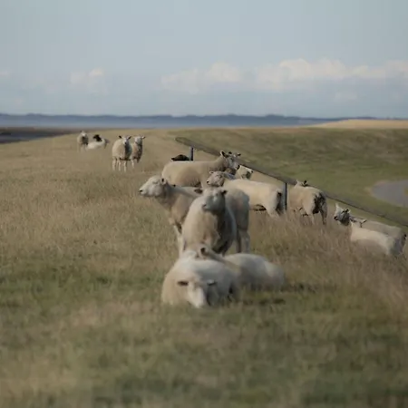 度假居 With 2 Bedrooms